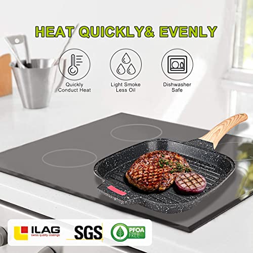 Nonstick Grill Pan,10 Inch Frying Pan With Lid,Grill Skillet For Indoor & Outdoor Grilling,Egg Pan Breakfast Pan With Silicone Brush & Clip,Gas Stove & Induction Compatible,Pfoa & Ptfes Free #TOP3