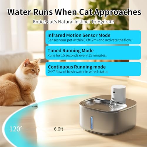 Fuente automática recargable para mascotas de acero inoxidable miniatura 3