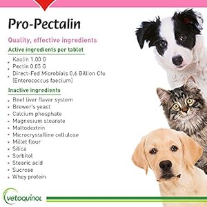 Vetoquinol-Pro-Pectalin-Chewable-Tablets-for-Dogs-Cats--250ct-Beef-Liver-Flavor--Helps-Reduce-Occasional-Loose-Stool-Diarrhea-Balance-Gut-pH-Support-Normal-Digestion-Intestinal-Flora - Cucciolini Doodles Vetoquinol-Pro-Pectalin-Chewable-Tablets-for-Dogs-Cats--250ct-Beef-Liver-Flavor--Helps-Reduce-Occasional-Loose-Stool-Diarrhea-Balance-Gut-pH-Support-Normal-Digestion-Intestinal-Flora