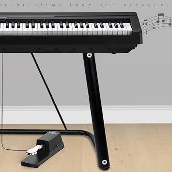 Piano Sustain Pedal, Universal Keyboard Foot Sustain Pedal for Yamaha, Casio, Roland, Korg Digital Pianos MIDI Keyboard Electronic Keyboards Electric Organ Synthesizer, 1/4 Inch Jack (Sliver)