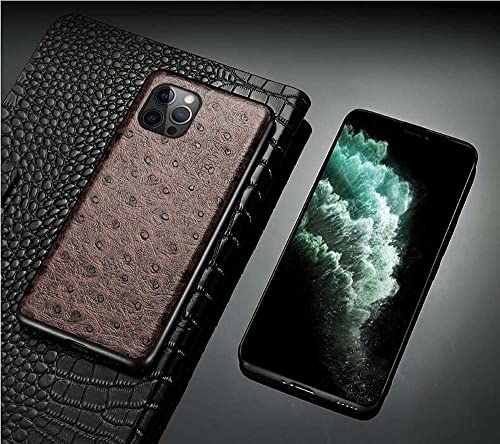 Housse iPhone 13 Pro protection écran objectif étui cuir antichoc autruche