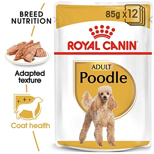 Royal Canin - Breed Health Nutrition Dachshund Adult, 12x85g