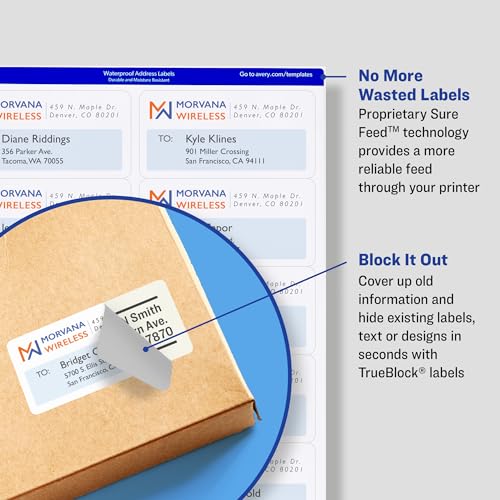 Image of Avery Shipping Labels, 2 inch x 4 inch, White, 250 Labels | Sure Feed Technology | Pack of 2 | Model 8163