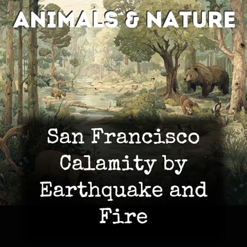 San Francisco Calamity by Earthquake and Fire cover art