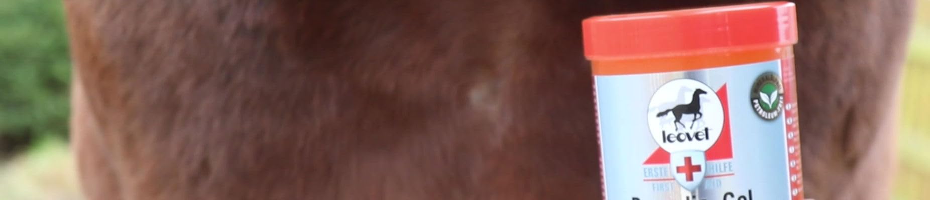 Leovet Unisexe Tr-leo3032 Propolis Gel Clair, Taille Unique