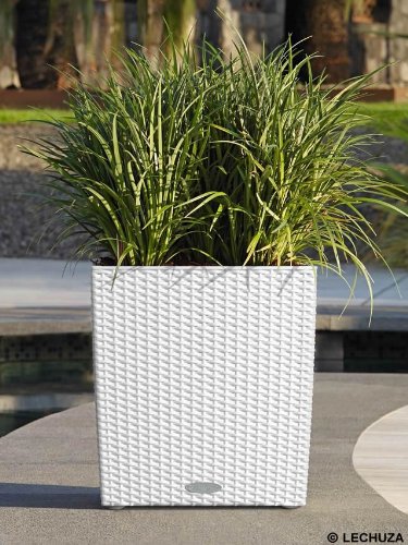 LECHUZA Cubico 40 Fioriera Autoirrigante 75x40x40 Cm - Poliresina Colore Caffè - Per Interni Ed Esterni