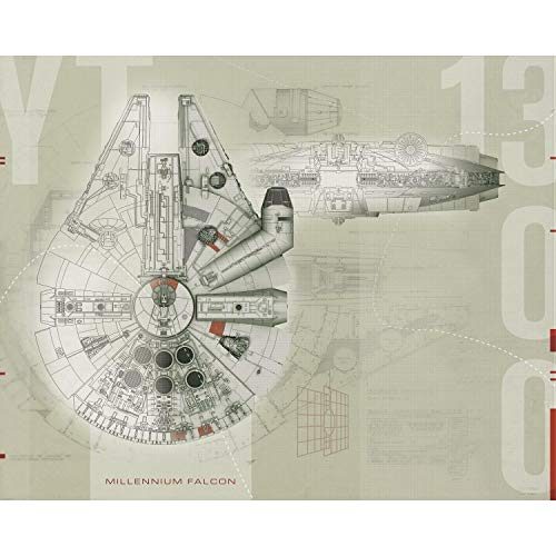 Millennium Falcon Removable Wall Mural