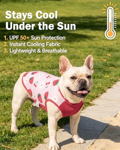 Image of CuteBone Mesh Panel Dog Tank Top - Breathable Dual-Fabric Pet Vest Lightweight Summer Small Dog Shirts - Keep Your Pets Cool, Sun-Protected Outdoors