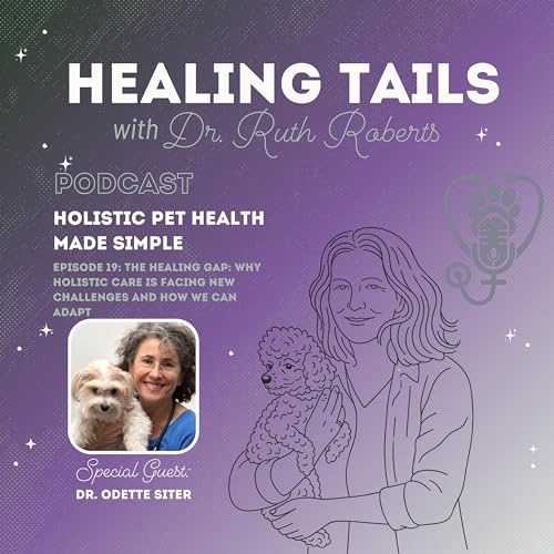 Page de couverture de The Healing Gap: Why Holistic Care Is Facing New Challenges and How We Can Adapt