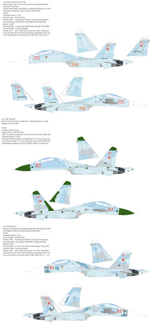 Amazon | グレートウォールホビー 1/48 Su-27UB フランカーC