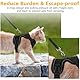 Katzengeschirr Mit Leine XS, Katzengeschirr Mit Leine Ausbruchsicher, Katzenleine Mit Geschirr Für Katzen, Katzen Leine, Katzengeschirr Ausbruchsicher, Für Kleine & Grosse Katzen, Schwarz