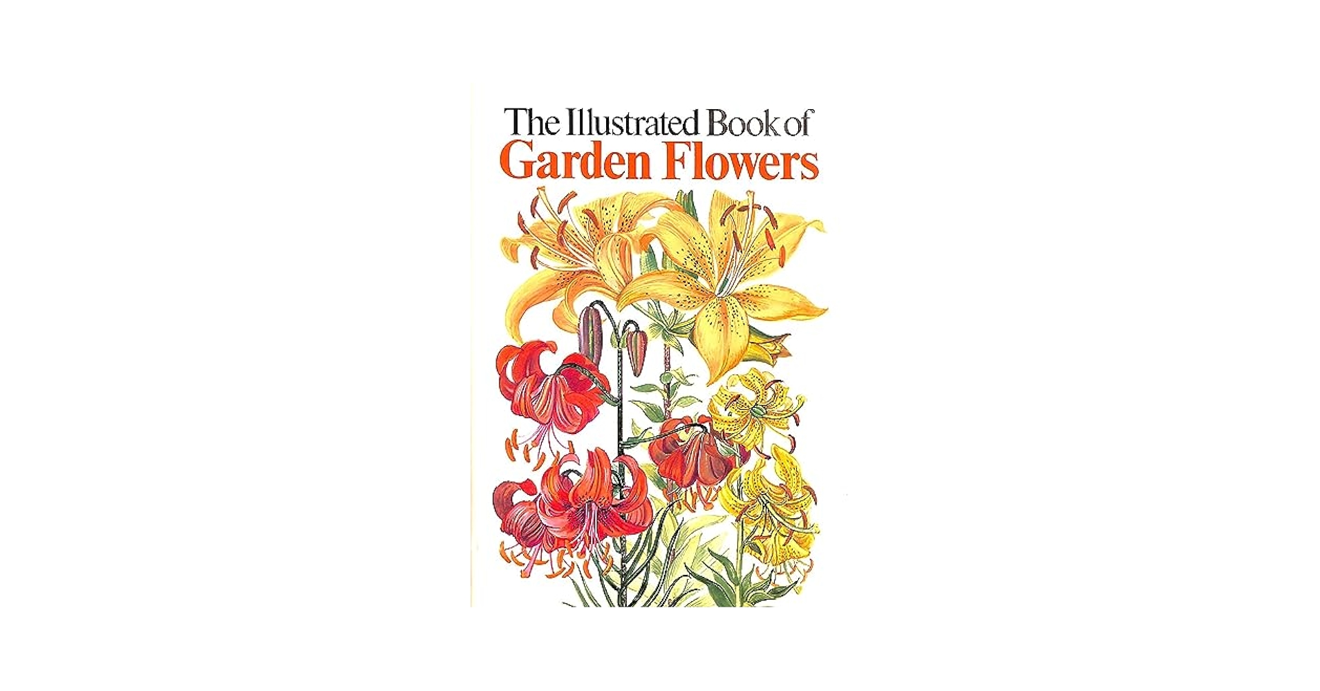 洋書 Agenda 2010 - Fleurs et jardins Amazon.com: Agenda 2010 - Fleurs et jardins: 9782812500121