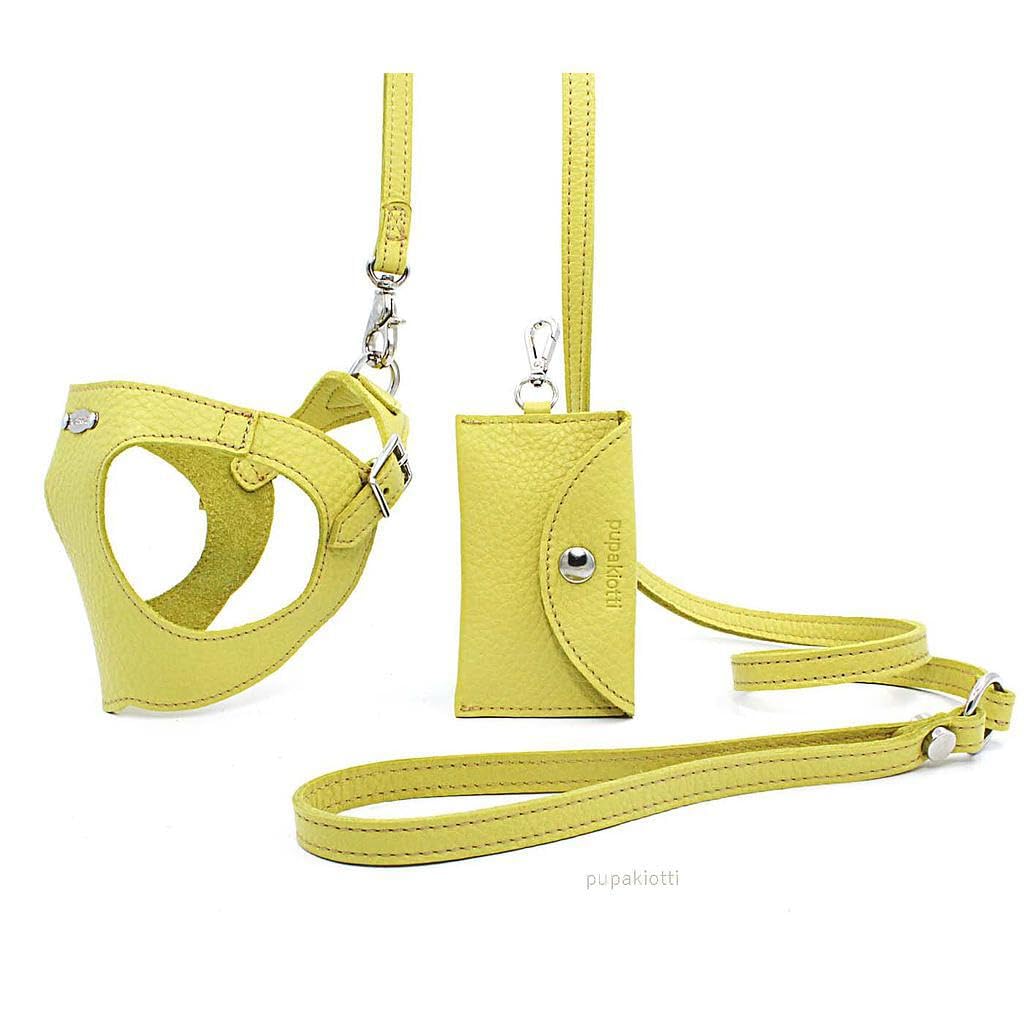 Basic. Set 3 Pezzi. Pettorina per Cani, Guinzaglio e Porta Sacchetti per Cane in Pelle Made in Italy Arancione 2XS