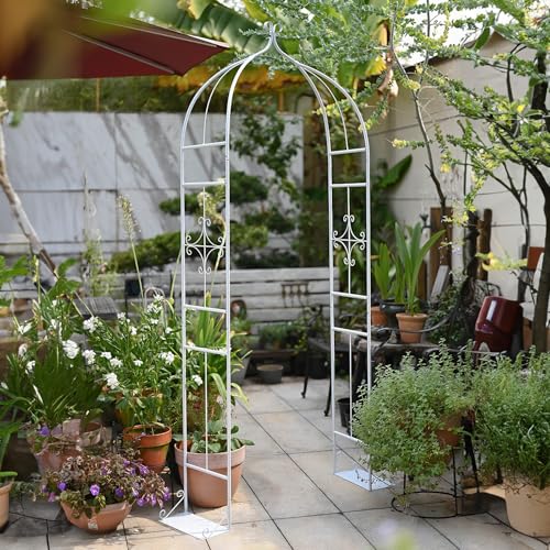 Arche de jardin pour plantes grimpantes et fleurs support de treillis extérieur