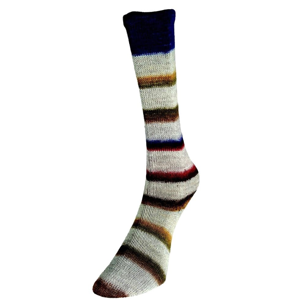 Premium Multicolour, Wool and Nylon Self-Patterning Superwash 4 Ply Sock Yarn 100g - Super Sock 05 Heath — image 1