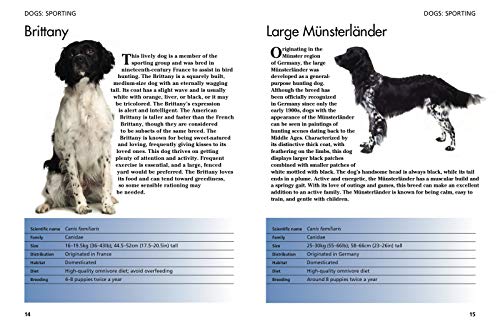 Pets: 300 Small Animals