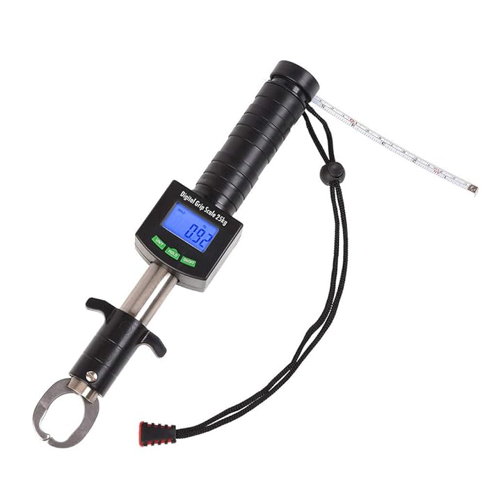 Buy Fish Scales Digital Weigh 25kg/55lb Digital Fish Gripper, Portable
