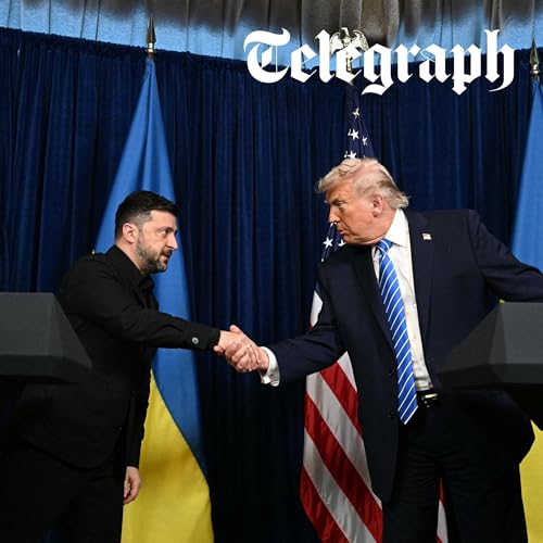 Trump 15-year security guarantee not enough to keep Russia away, says Zelensky after Mar-a-Lago talks