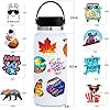 100 PCS Water Bottle Stickers for Kids Teens Girls Adults, Aesthetic Cute Vinyl Waterproof Vsco Cool Stickers, Laptop Scrapbook Skateboard Computer Car Sticker Packs #2