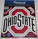 NCAA Ohio State Buckeyes Teammate Logo, 11x10x.05, Multicolor