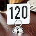 ROY TN 101 150 -Royal Industries Number 101-150 Plastic Number Card Set, Plastic, 4'' by 4'', White Base with Black Numbers