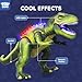 STEAM Life Remote Control Dinosaur Toys,Robot Walking & Dancing Dinosaur with Light and Realistic Roaring Sound, Electronic Steam Toy, Birthday Gift for Kids