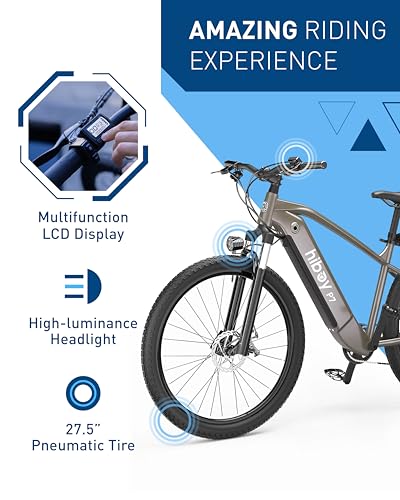 Image of Hiboy P7