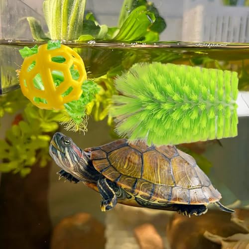 Image of 2 Pcs Turtle Tank Accessories - Turtle Brush with Suction Cup, Turtle Tank Decorations Turtle Aquarium Habitat Accessories