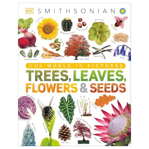 Trees, Leaves, Flowers and Seeds: A Visual Encyclopedia of the Plant Kingdom (DK Our World in Pictures)