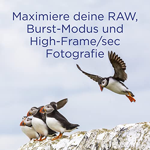 SDXC 128 GB Integral UHS-II SD-Karte mit 260 MB/s Lesegeschwindigkeit