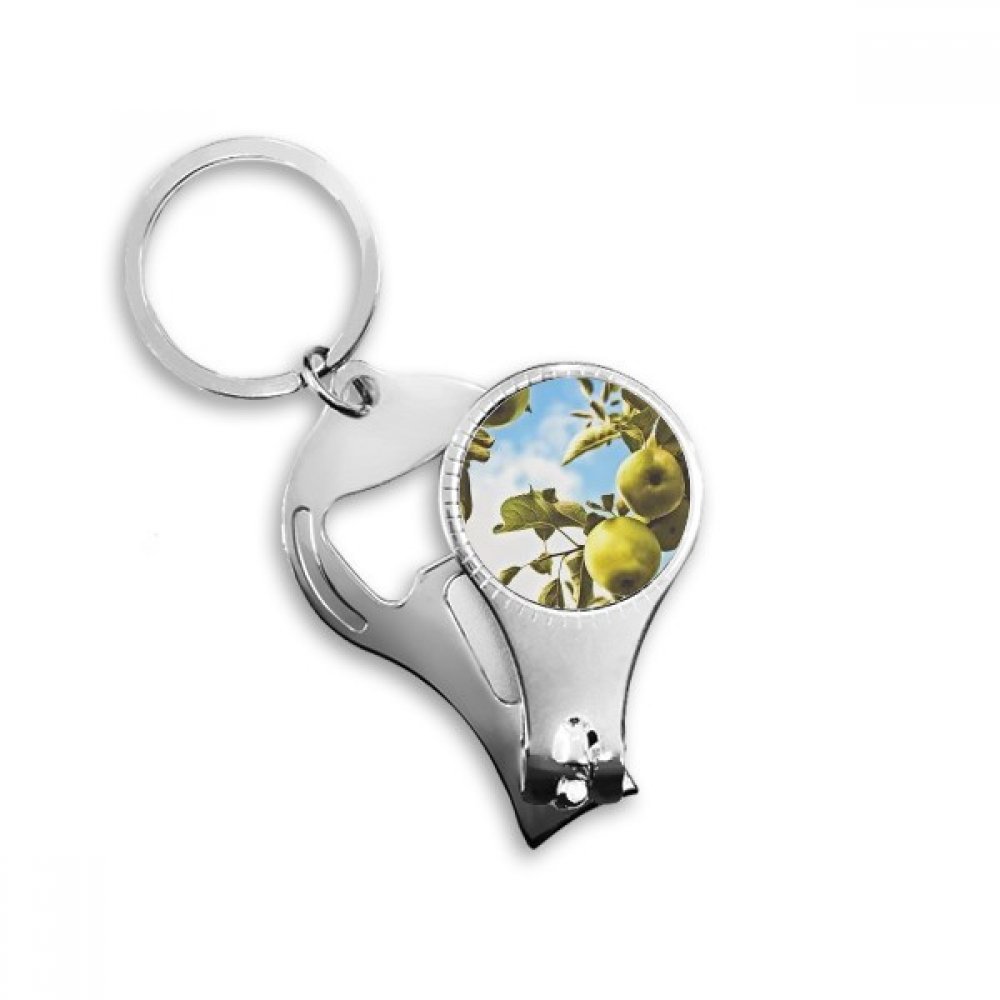 Peer Fresh Temperate Fruit Picture Nail Nipper Ring Key Chain Bottle Opener Clipper