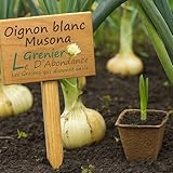 Le Grenier D'Abondance Les Graines qui donnent enVie