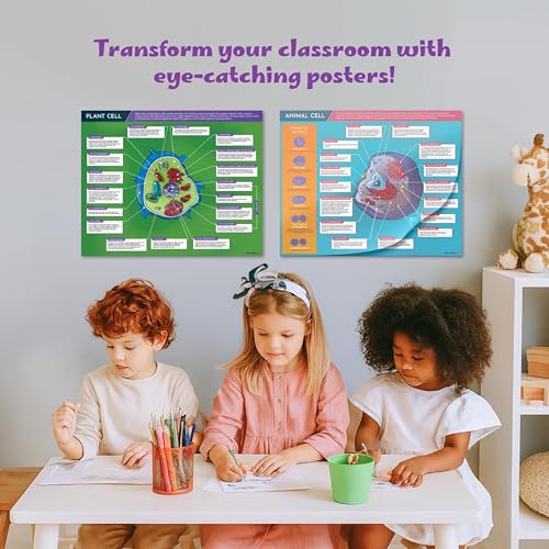 Image of Hubble Bubble Kids Science Posters for Classroom Decoration - 4 Biology Posters include DNA Poster, Photosynthesis, Plant Cell and Animal Cell. Each Poster is 16x20 inches.