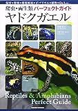 ヤドクガエル: 飼育+繁殖+種類解説+ビバリウム+植物+Q&A etc… (爬虫・両生類パーフェクトガイド)