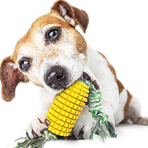 POPETPOP bastão molar para cachorro com contas de massagem brinquedo para mastigar animais de estima