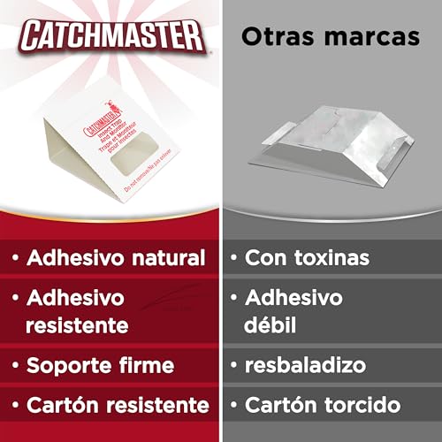 Miniatura 8 de 