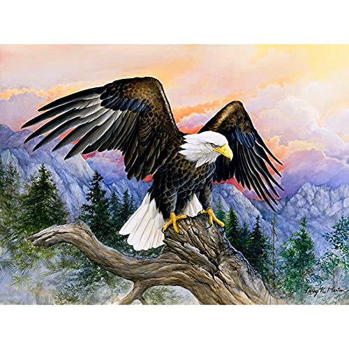 Kit peinture diamant 5D aigle géant 70x120 cm avec strass carrés et ronds pour broderie mosaïque