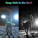 flintronic LED Leuchthalsband Hunde Halsband, Leuchtend Hundehalsband, Sicherheits LED Leuchtband für Hunde Katzen, LED Licht Blinklicht mit Klettverschluss, Helle Sicherheit für Die Nacht