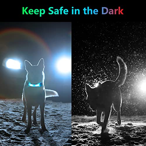 flintronic LED Leuchthalsband Hunde Halsband, Leuchtend Hundehalsband, Sicherheits LED Leuchtband für Hunde Katzen, LED Licht Blinklicht mit Klettverschluss, Helle Sicherheit für Die Nacht