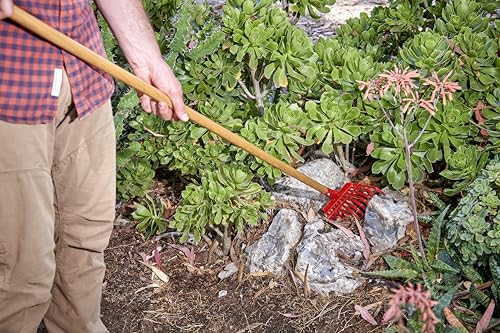 Corona RK 62000 Flexible Fixed Tine Shrub Rake, Wood Handle, 8-Inch Wide