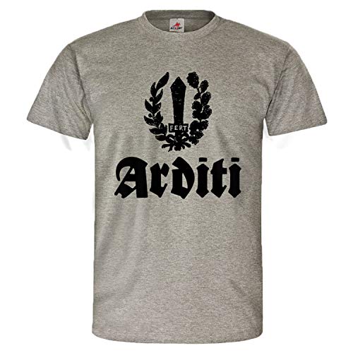 T-shirt FERT ORDEN gris Arditi pour vos sorties décontractées en ville