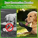 CHONGQILAO Hundeschuhe Pfotenschutz Outdoor, Pfotenschutz Hund Verletzung, Hundeschuhe zur Erholung, Haustierwunden Verhindern Lecken, Hundesocken Anti Rutsch Wasserdicht Leckschutz Hunde Socken