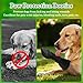 CHONGQILAO Hundeschuhe Pfotenschutz Outdoor, Pfotenschutz Hund Verletzung, Hundeschuhe zur Erholung, Haustierwunden Verhindern Lecken, Hundesocken Anti Rutsch Wasserdicht Leckschutz Hunde Socken