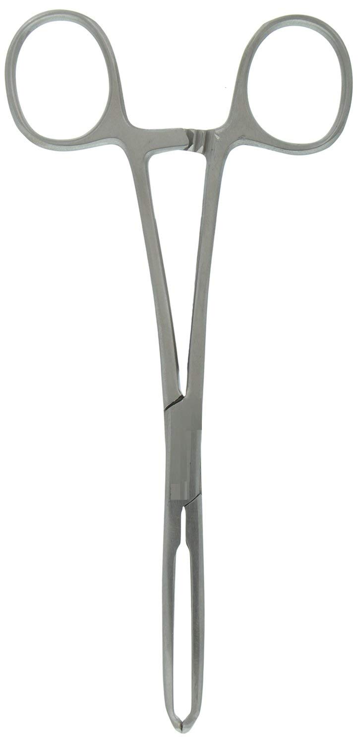 PUTEX Allis Tissue Forcep (6 Inch) (B07L92DY4D) Amazon Price History, Amazon Price Tracker