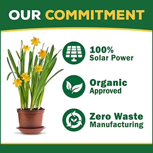 Espoma Organic Cactus! Plant Food, Natural & Organic Fertilizer For All Cactus, Succulents, Palm, And Citrus Both Indoors And Outdoors, 8 Oz, Pack Of 2 #TOP6