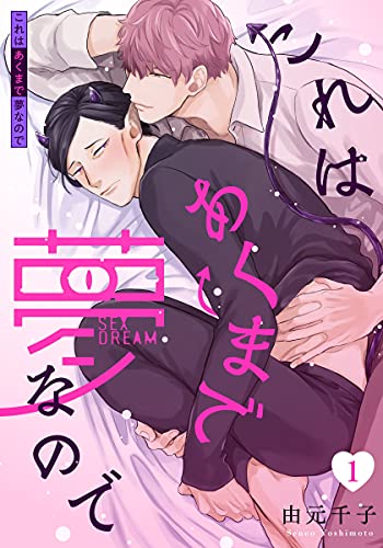 『これはあくまで夢なので』