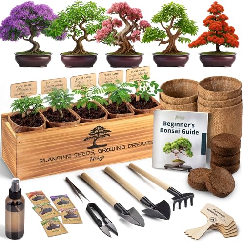 Bonsai Tree Kit for Beginners – 5X Unique Japanese Bonzai Trees | Complete Indoor Bonsai Starter Kit...