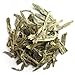 Palais des Thés - Long Jing - Chinese Green Tea - Premium Tea Bags, Serves 20 Cups