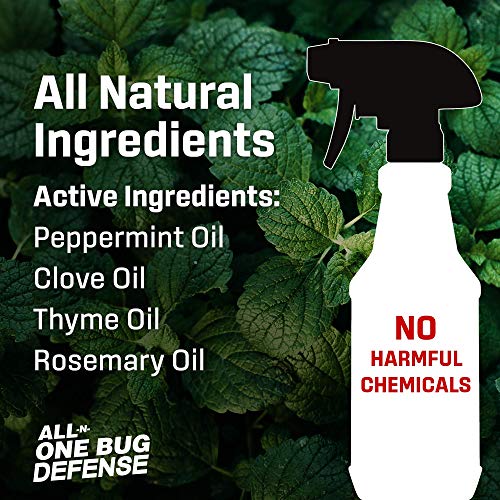 Exterminators Choice All N One Bug Defense | 32Oz | Non-Toxic Insect Repellent | Quick And Easy Pest Control To Keep Bugs Away #TOP2