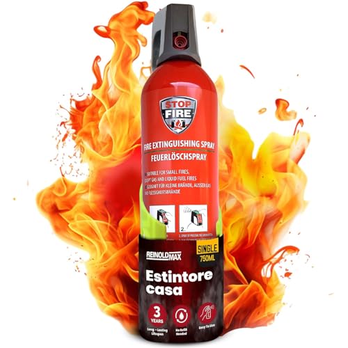 ReinoldMax Piccolo estintore per auto, mini estintore per barca, estintore per camper, estintore elettrico, Aerosol 5 in 1 per tutti gli incendi, estintore commerciale, estintore ad acqua da 750ml
